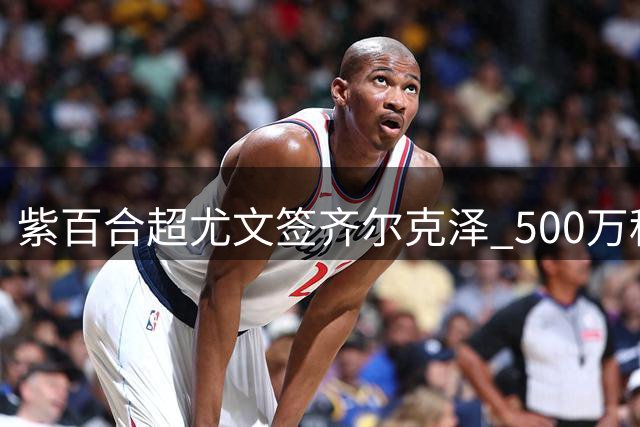 紫百合超尤文签齐尔克泽 500万租借+2500万买断